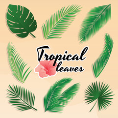 Fototapeta na wymiar Set of tropical summer green leaves, vector icons