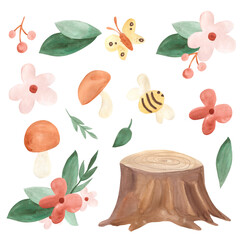 Woodland elements. Butterfly, bee, mushrooms, stump, leaves and flowers. Watercolor illustration for kids