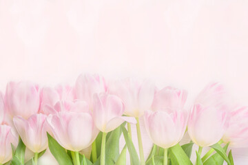 Happy Mother's Day. Pink Tulip Flowers on Pink Pastel Background