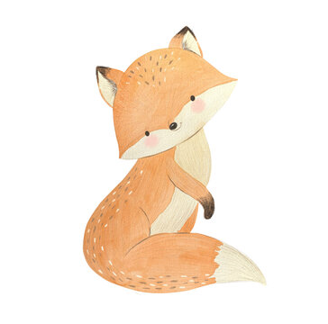 Watercolor fox. Woodland animal illustration for kids