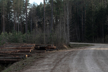 forest industry, pile of tree logs near winding forest road © Neils