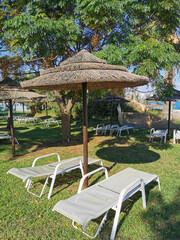 Umbrellas from the sun made of natural materials and sun loungers on the grass, against the background of a tree and a blue cloudless sky.