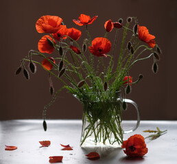 Bouquet of red poppies stands in a glass teapot
