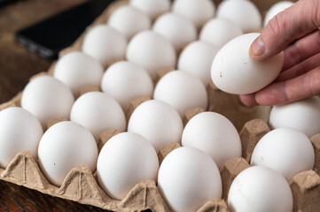 A man takes a chicken egg from a cardboard tray. Adult male holding a white raw egg. Open recycled tray.