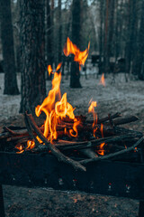 Winter forest, fire in the grill. The atmosphere of a winter forest. Fire for cooking. Outdoor recreation in the forest.