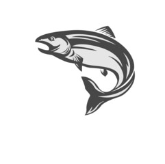 Jumping salmon isolated on a white background, the logo.