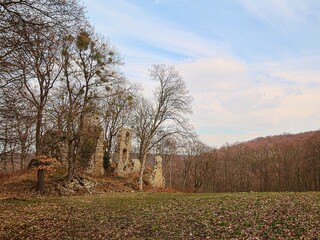 Castle ruin Stecklenburg on a field in Saxony-Anhalt, Germany