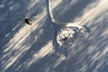 Conceptual aerial shot of tracks in the snow with diagonal shadows