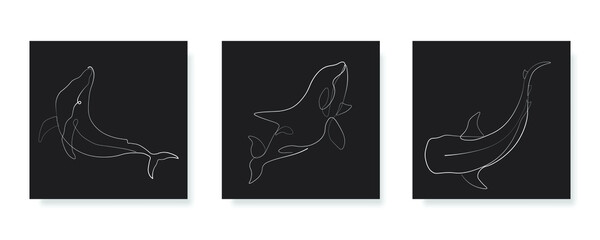 continuous line, whale, marine animal, simple line. Hand drawn style illustration vector
