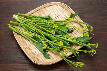 伝統野菜の播州こぶな