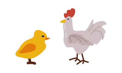 Hen and chicken. Farm poultry breeding, Agricultural industry cartoon vector illustration