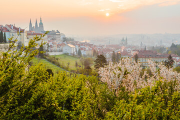 view of Prague Castle at sunrise from the blossoming Petřín Gardens. The dominant building of...
