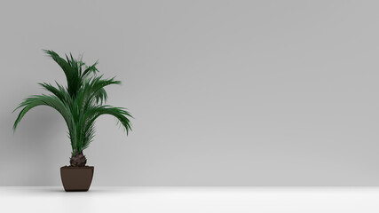 3d render Empty wall mockup in warm neutral beige room with palm plant in left