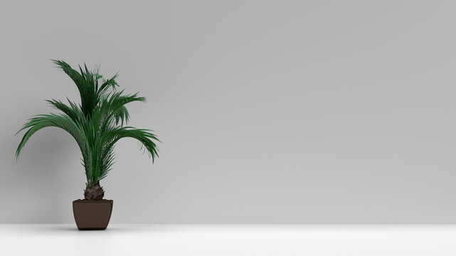 3d render Empty wall mockup in warm neutral beige room with palm plant in left © Роман Мартинюк