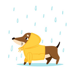 Cheerful dachshund walks in the rain in a raincoat. Drawn in cartoon style. Vector illustration for designs, prints and patterns. Isolated on white background