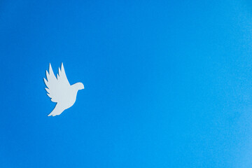 White paper dove bird as a symbol of peace isolated on blue background. Peace to Ukraine. International Day of Peace.