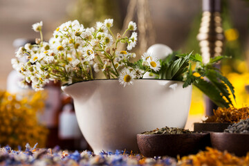 Herbs, berries and flowers with mortar, on wooden table background