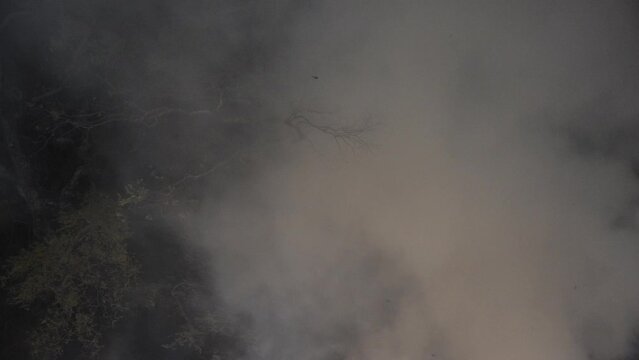 Smoke at night, Clouds of Forest Fire in Background 4k