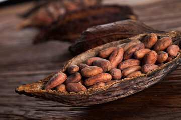 Cocoa pod on wooden background