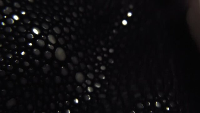 A Sheet Of Adhesive Rhinestone Being Bended And Glows Through A Light Reflection. Close-up Shot