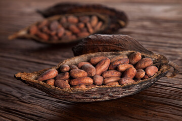 Cocoa pod on wooden background