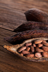 Cocoa pod on wooden background