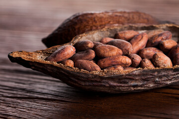 Cocoa pod on wooden background