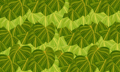 Fototapeta na wymiar green Tropical leaves hand drawn pattern ,wallpaper nature background design