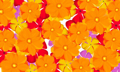 Colorful tropical yellow ,red cosmos   flower hand drawn watercolor digital painting fresh spring nature wallpaper background