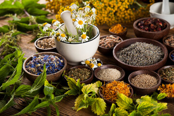Alternative medicine, dried herbs and mortar on wooden desk background