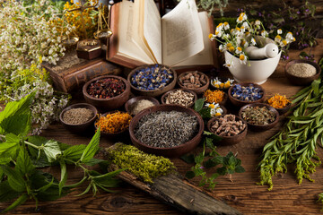 Herbal medicine and book on wooden table background