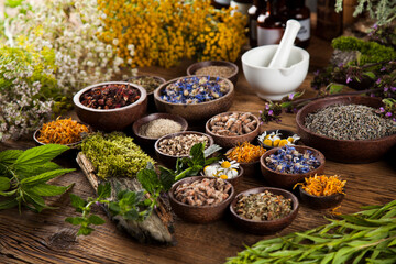 Alternative medicine, dried herbs and mortar on wooden desk background