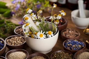 Obraz na płótnie Canvas Alternative medicine, dried herbs and mortar on wooden desk background