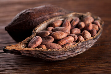 Cocoa pod on wooden background