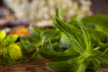 Herbs medicine and vintage wooden desk background