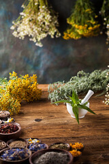 Fresh medicinal, healing herbs on wooden