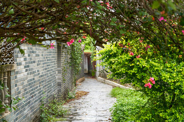 Landscape of buildings and paths in ancient Chinese villages