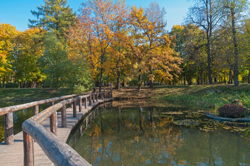 City pond on a sunny autumn day.