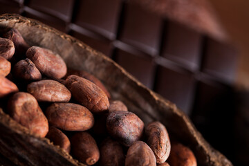 Cocoa pod and cocoa beans on the wooden table