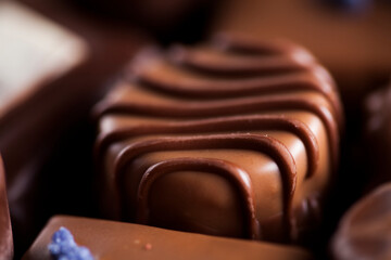 Praline Chocolate on wooden backgroud