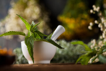 Fresh medicinal, healing herbs on wooden