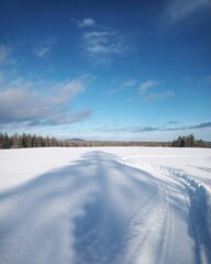 Fototapeta na wymiar Snow plain with tree shadow in northern Sweden