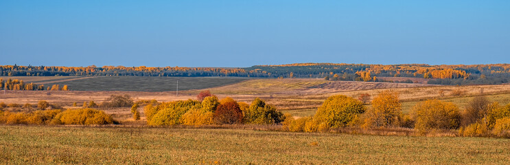 Beautiful colored autumn landscape