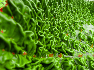 close up of green peas