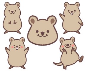 クオッカバリエーションセット