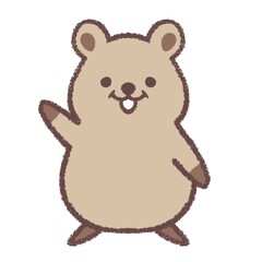 案内するクオッカ