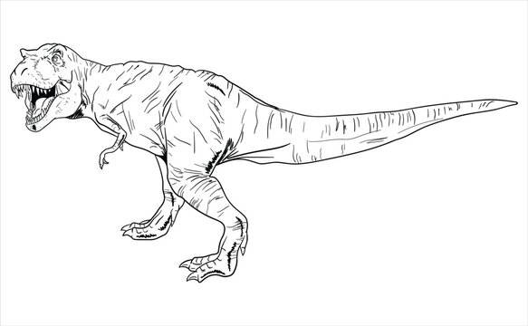 Tiranossauro Rex Small para colorir by PoccnnIndustriesPT on