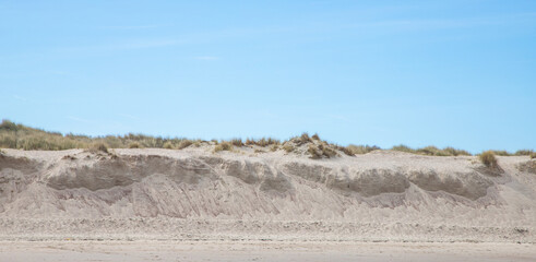sand dunes in the coast of Nord Sea in Netherlands