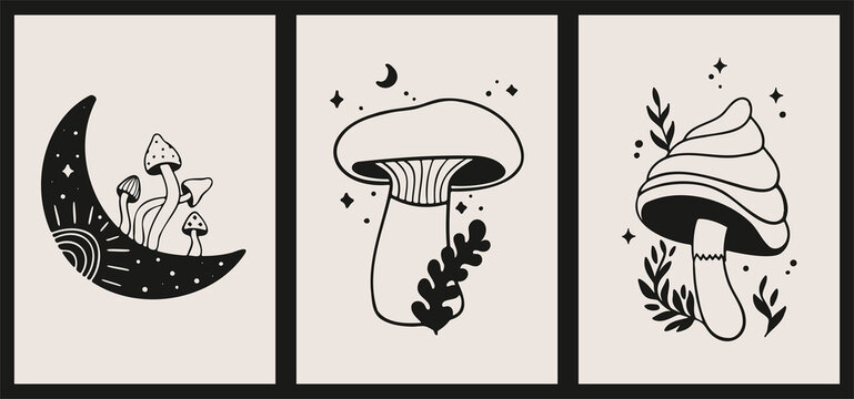 Set of three stylish illustrations. Black logo light background. Hand drawn ink templates. Posters for decoration and design with mushrooms, plants, crescent moon.