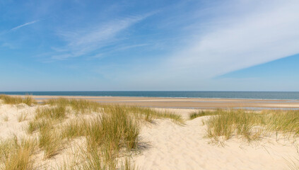 Fototapeta na wymiar sand dunes in the coast of Nord Sea in Netherlands